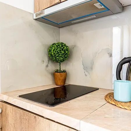 Shiny 6 1br Ap Kitchen & Balcony *